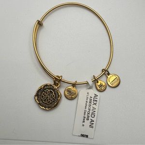 NWT/NIB Alex and Ani Path of Life Molten Coin Bangle Bracelet